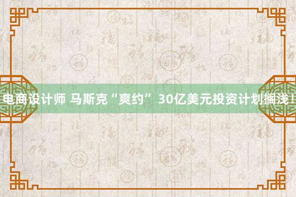 电商设计师 马斯克“爽约” 30亿美元投资计划搁浅！