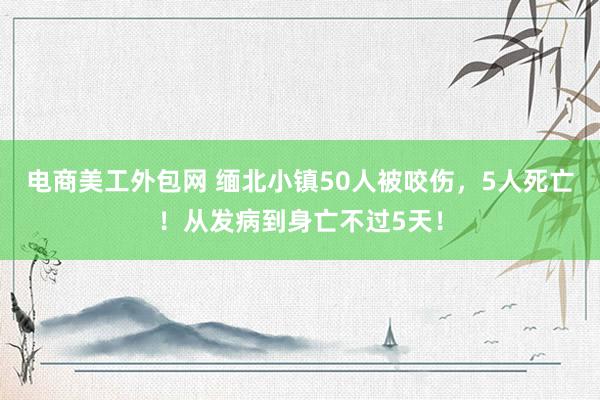 电商美工外包网 缅北小镇50人被咬伤，5人死亡！从发病到身亡不过5天！