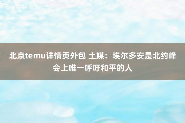 北京temu详情页外包 土媒：埃尔多安是北约峰会上唯一呼吁和平的人